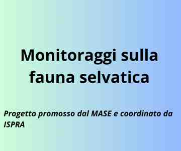 Al via il progetto di monitoraggio della fauna selvatica