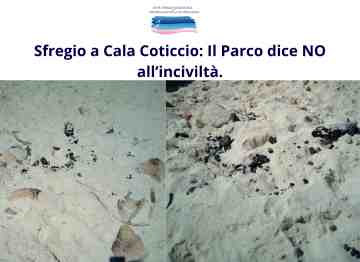 Sfregio a Cala Coticcio: Il Parco dice NO all�incivilt�.