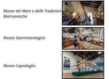 Giorni e orari di apertura Musei del CEA