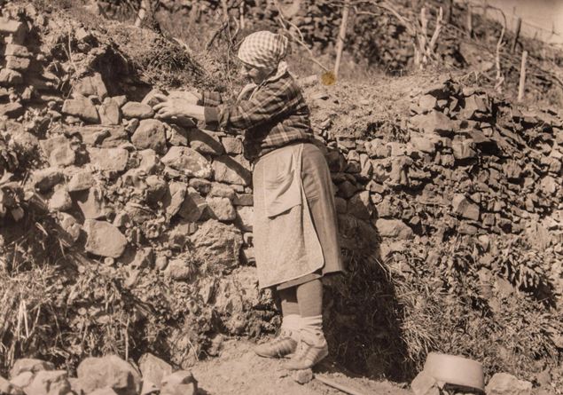 Assegnati i contributi per i muretti a secco