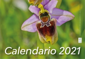 In arrivo il nuovo calendario 2021 del Parco