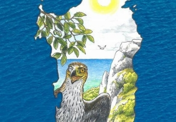 Scopri la storia dell�aquila di Bonelli con un fumetto