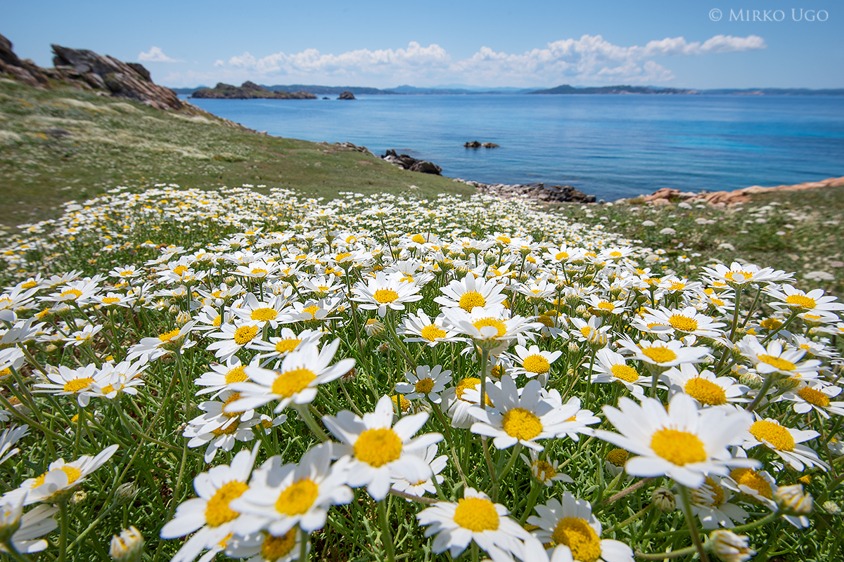 Giornata mondiale della Terra