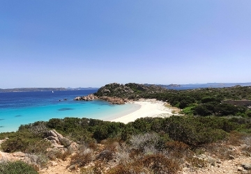 I nuovi progetti approvati dal Consiglio Direttivo