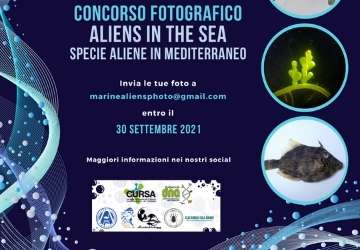 Contest fotografico Aliens in the Sea