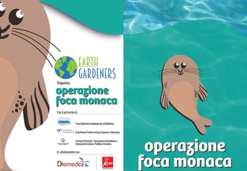 Operazione foca monaca, un progetto che sosteniamo!