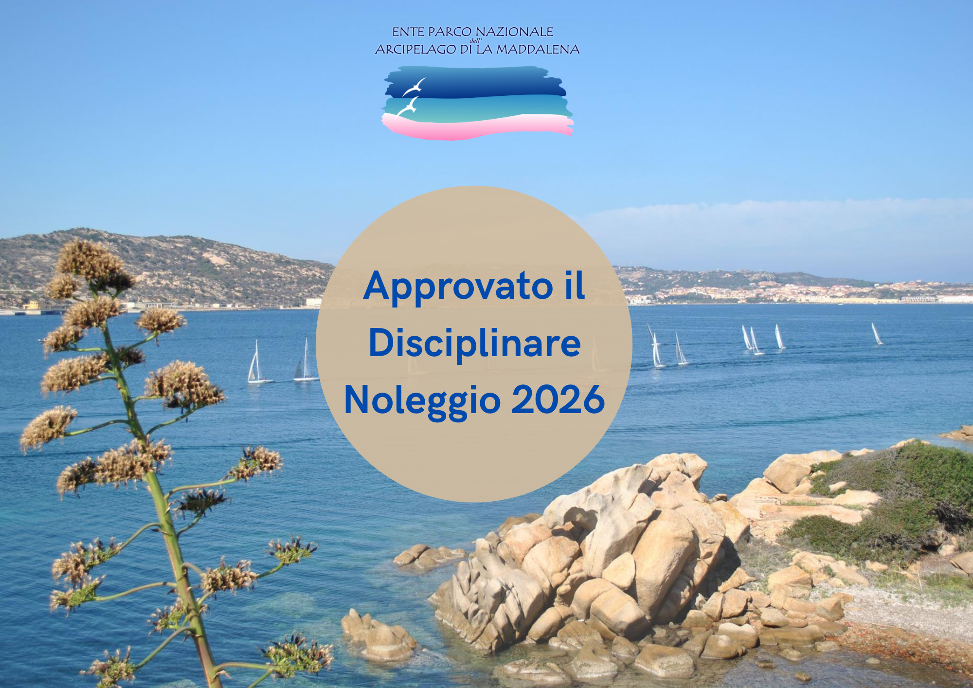 Approvato il disciplinare per il noleggio 2026