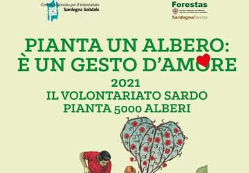 Luned� 13 dicembre: pianta un albero
