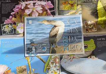 Calendario 2022: in regalo nei nostri Uffici!