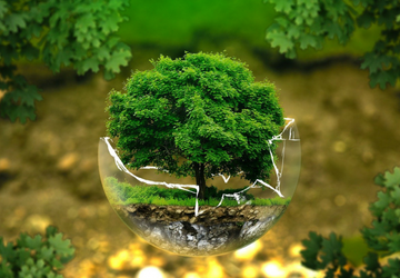 Modifica costituzionale per la tutela dell�ambiente