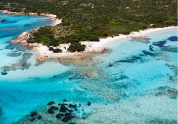 Spiaggia del Cavalieri a Budelli: divieto assoluto di calpestio