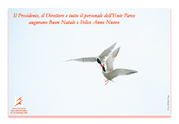 Auguri di buone feste 2022