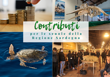 Contributi alle scuole della Sardegna: domande entro il 20.03.23