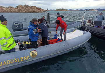 Partite le prime attivit� di ripiantumazione di Posidonia oceanica