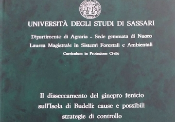  Tesi di laurea presso l\'Universit� di Sassari